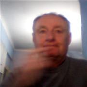 Profesor nativo de inglés da clases a todos los niveles